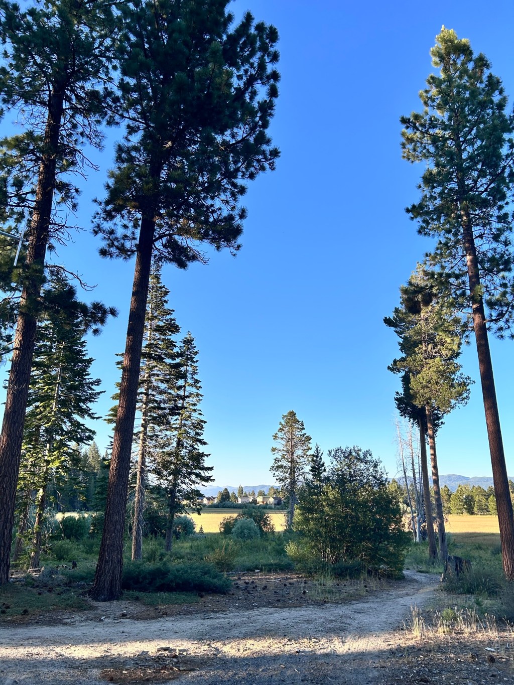 First Week in Lake&nbsp;Tahoe